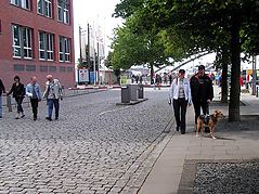 Dateiname=2008hamhol_40.jpg
Dateigröße=387KB
Abmessungen: 1000x750
hinzugefügt am: 17. Juni 2008 2008hamhol_40.jpg