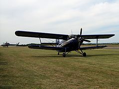 2008fluman_16.jpg