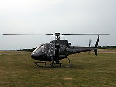 2008fluman_20.jpg