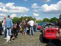 Dateiname=2008hamman_47.jpg
Dateigröße=276KB
Abmessungen: 1000x750
hinzugefügt am: 05. Mai 2008 2008hamman_47.jpg