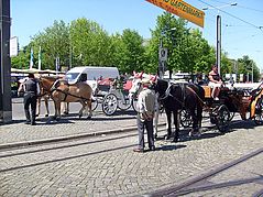 Dateiname=2008suhhol_01.jpg
Dateigröße=379KB
Abmessungen: 1000x750
hinzugefügt am: 18. Mai 2008 2008suhhol_01.jpg