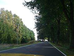 Dateiname=2011asfpet47.jpg
Dateigröße=270KB
Abmessungen: 1000x750
hinzugefügt am: 19. September 2011 2011asfpet47.jpg