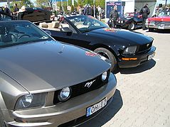 Dateiname=2011lenhol04.jpg
Dateigröße=296KB
Abmessungen: 1000x750
hinzugefügt am: 01. Mai 2011 2011lenhol04.jpg