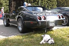 Dateiname=2011suhuwe279.jpg
Dateigröße=269KB
Abmessungen: 1000x664
hinzugefügt am: 14. Juni 2011 2011suhuwe279.jpg