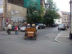 2011suhrph038.jpg