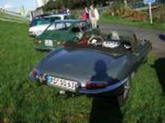 Dateiname=bueoli080.JPG
Dateigröße=362KB
Abmessungen: 1000x750
hinzugefügt am: 24. September 2012 bueoli080.JPG