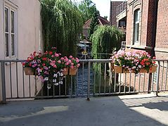 Dateiname=winoli114.JPG
Dateigröße=289KB
Abmessungen: 1000x750
hinzugefügt am: 21. August 2012 winoli114.JPG