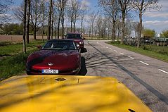 Dateiname=holu_o094.jpg
Dateigröße=231KB
Abmessungen: 1000x664
hinzugefügt am: 16. Mai 2013 holu_o094.jpg