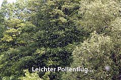Dateiname=30uwe195.jpg
Dateigröße=411KB
Abmessungen: 1000x664
hinzugefügt am: 15. Juni 2013 30uwe195.jpg