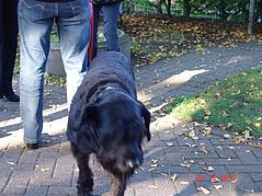 Dateiname=Uetersen12.jpg
Dateigröße=253KB
Abmessungen: 1000x750
hinzugefügt am: 01. Oktober 2013 Uetersen12.jpg