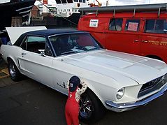 Dateiname=DSCF0050.JPG
Dateigröße=176KB
Abmessungen: 1000x750
hinzugefügt am: 01. Oktober 2014 DSCF0050.JPG