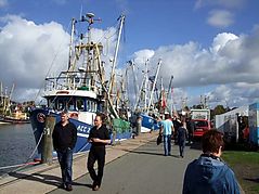 Dateiname=DSCF0134.JPG
Dateigröße=205KB
Abmessungen: 1000x750
hinzugefügt am: 01. Oktober 2014 DSCF0134.JPG