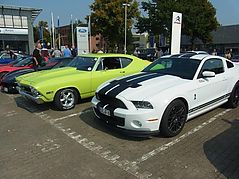 Dateiname=RIMG1370.jpg
Dateigröße=253KB
Abmessungen: 1000x750
hinzugefügt am: 08. September 2014 RIMG1370.jpg