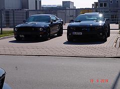 Dateiname=DSC02946.jpg
Dateigröße=255KB
Abmessungen: 1000x750
hinzugefügt am: 06. Mai 2014 DSC02946.jpg