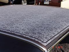Dateiname=DSC03966.JPG
Dateigröße=228KB
Abmessungen: 1000x750
hinzugefügt am: 16. Juli 2015 DSC03966.JPG