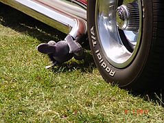 Dateiname=DSC04197.JPG
Dateigröße=308KB
Abmessungen: 1000x750
hinzugefügt am: 16. Juli 2015 DSC04197.JPG