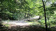Dateiname=image039.jpg
Dateigröße=193KB
Abmessungen: 1000x563
hinzugefügt am: 13. September 2016 image039.jpg