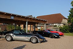 Dateiname=DSC_2311.jpg
Dateigröße=128KB
Abmessungen: 1000x664
hinzugefügt am: 28. September 2016 DSC_2311.jpg