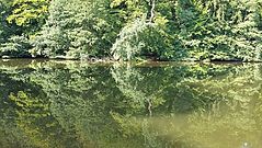 Dateiname=20160910_120056.jpg
Dateigröße=229KB
Abmessungen: 1000x563
hinzugefügt am: 28. September 2016 20160910_120056.jpg