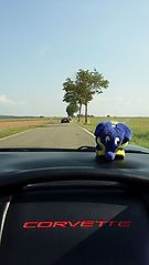 Dateiname=20160910_134609.jpg
Dateigröße=67KB
Abmessungen: 451x800
hinzugefügt am: 28. September 2016 20160910_134609.jpg