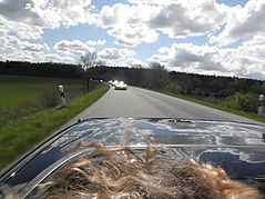 Dateiname=P4230131.jpg
Dateigröße=115KB
Abmessungen: 1000x750
hinzugefügt am: 12. Mai 2016 P4230131.jpg