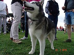 Dateiname=DSC05127.JPG
Dateigröße=143KB
Abmessungen: 1000x750
hinzugefügt am: 08. August 2016 DSC05127.JPG