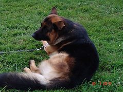 Dateiname=DSC05175.JPG
Dateigröße=157KB
Abmessungen: 1000x750
hinzugefügt am: 08. August 2016 DSC05175.JPG