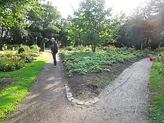 Dateiname=DSCN7767.jpg
Dateigröße=203KB
Abmessungen: 1000x750
hinzugefügt am: 03. Oktober 2017 DSCN7767.jpg