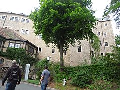 Dateiname=2017-06-04_(35).jpg
Dateigröße=197KB
Abmessungen: 1000x750
hinzugefügt am: 03. Oktober 2017 2017-06-04_(35).jpg