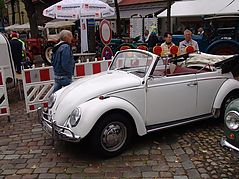 Dateiname=DSC00728_121.jpg
Dateigröße=127KB
Abmessungen: 1000x750
hinzugefügt am: 13. September 2018 DSC00728_121.jpg