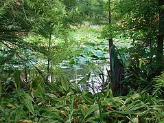 Dateiname=DSCF0722_67.jpg
Dateigröße=183KB
Abmessungen: 1000x750
hinzugefügt am: 03. Oktober 2018 DSCF0722_67.jpg