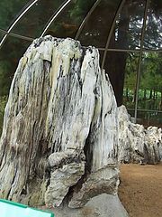 Dateiname=DSCF0724_69.jpg
Dateigröße=107KB
Abmessungen: 600x800
hinzugefügt am: 03. Oktober 2018 DSCF0724_69.jpg