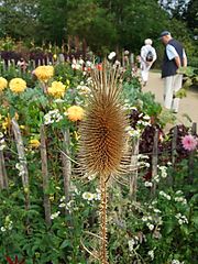 Dateiname=DSCF0729_73.jpg
Dateigröße=91KB
Abmessungen: 600x800
hinzugefügt am: 03. Oktober 2018 DSCF0729_73.jpg