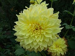 Dateiname=DSCF0743_78.jpg
Dateigröße=85KB
Abmessungen: 1000x750
hinzugefügt am: 03. Oktober 2018 DSCF0743_78.jpg