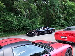 Dateiname=DSCF0403.JPG
Dateigröße=150KB
Abmessungen: 1000x750
hinzugefügt am: 17. Juni 2018 DSCF0403.JPG