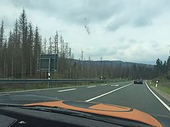 Dateiname=2018-06-10_Abreise_(6).JPG
Dateigröße=90KB
Abmessungen: 1000x750
hinzugefügt am: 17. Juni 2018 2018-06-10_Abreise_(6).JPG
