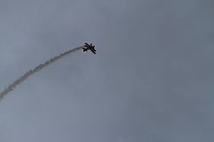Dateiname=IMG_2170_85.jpg
Dateigröße=11KB
Abmessungen: 1000x666
hinzugefügt am: 13. September 2018 IMG_2170_85.jpg