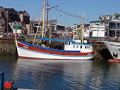 Dateiname=DSC00951.JPG
Dateigröße=113KB
Abmessungen: 800x600
hinzugefügt am: 13. Oktober 2019 DSC00951.JPG