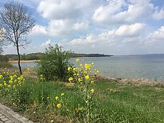 Dateiname=IMG_7238.JPG
Dateigröße=185KB
Abmessungen: 1000x750
hinzugefügt am: 13. Mai 2019 IMG_7238.JPG