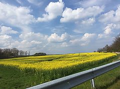 Dateiname=IMG_7269.JPG
Dateigröße=124KB
Abmessungen: 1000x750
hinzugefügt am: 13. Mai 2019 IMG_7269.JPG