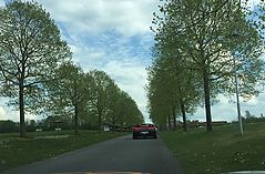 Dateiname=IMG_7294.jpg
Dateigröße=165KB
Abmessungen: 1000x657
hinzugefügt am: 13. Mai 2019 IMG_7294.jpg