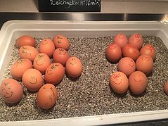Dateiname=IMG_7367.JPG
Dateigröße=165KB
Abmessungen: 1000x750
hinzugefügt am: 13. Mai 2019 IMG_7367.JPG