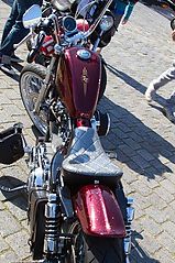 Dateiname=img_2877_135.JPG
Dateigröße=59KB
Abmessungen: 333x500
hinzugefügt am: 10. September 2019 img_2877_135.JPG